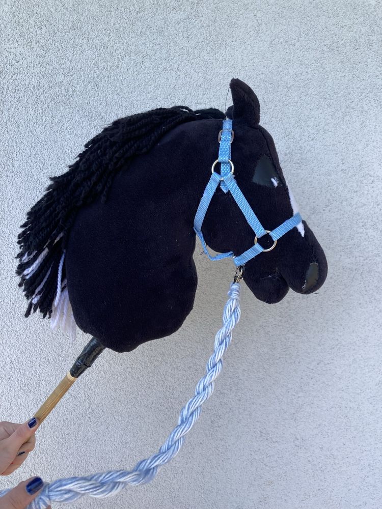 Hobby horse kary