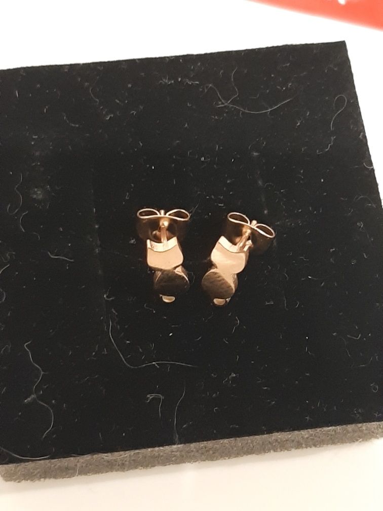 Brincos dourados Gatos em Aço