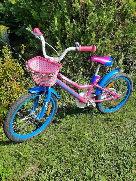 Rower dziewczęcy Indiana 20