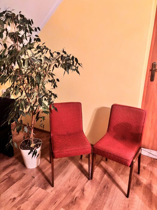 Krzesła PRL Kozienicka Fabryka Mebli – komplet 6 szt