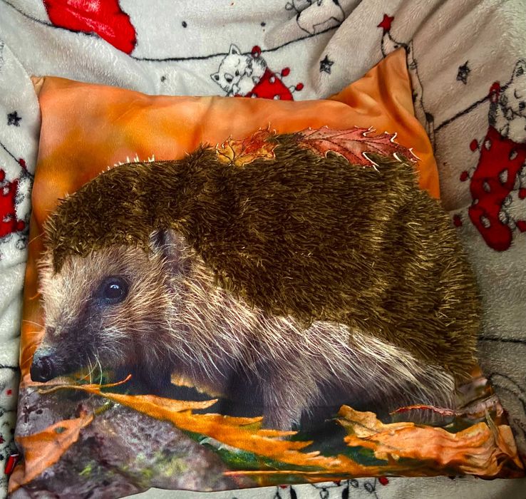 Poszewka na poduszkę  45X45