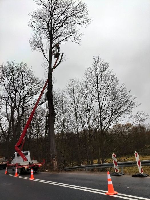 Podnośnik koszowy zwyżka wycinka drzew dostępny 24/7