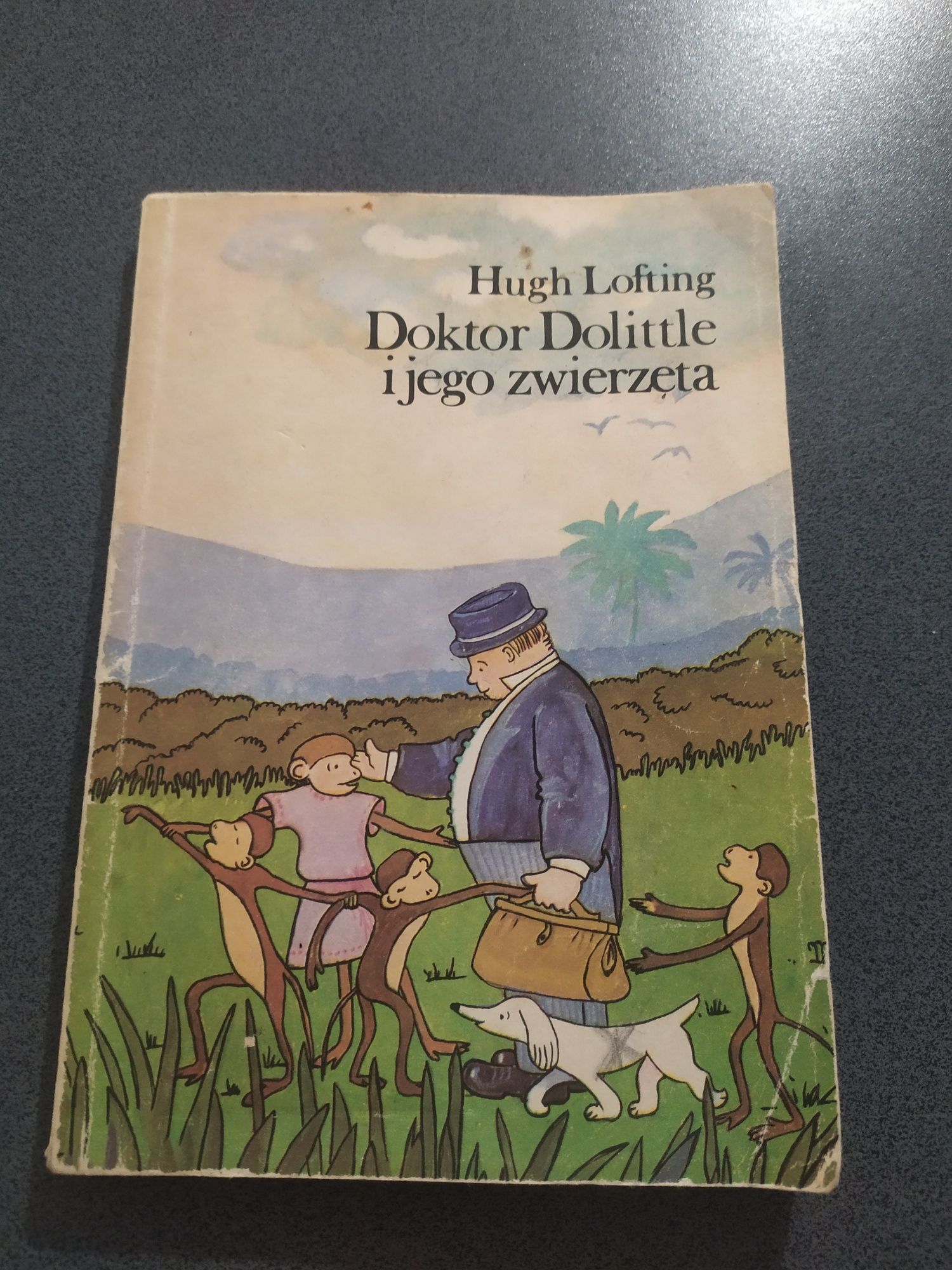 Książka Doktor Dolittle i jego zwierzęta