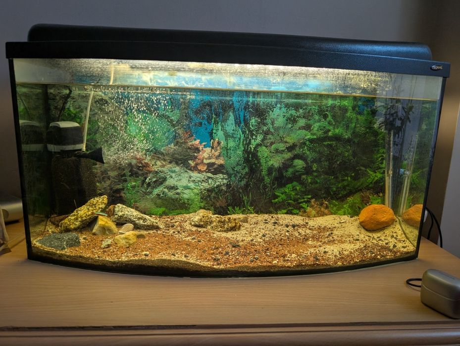 Akwarium 120l z wyposażeniem.