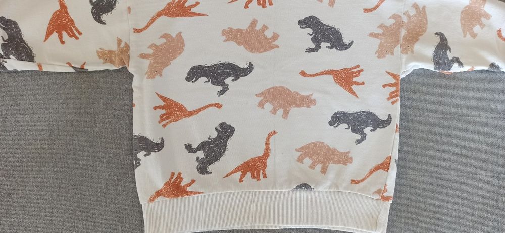 Komplet Bluza + Bluzka Sinsay Motyw Dinozaury Dla Chłopca R. 98/104cm