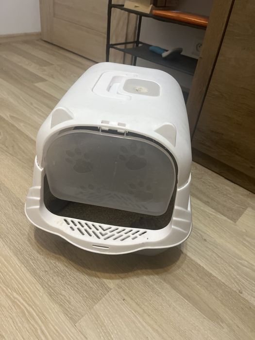 Oddam kocurka 7 miesięcy