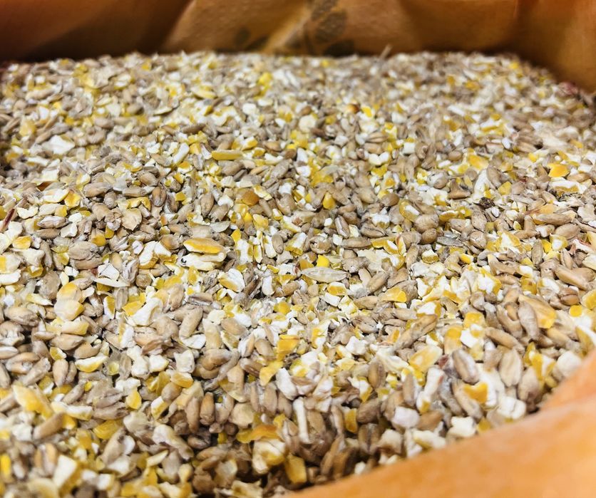 Śruta dla kur niosek 25kg pszenica kukurydz soja kreda pasza dla kur