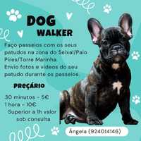 Dog walker/passeio o seu patudo