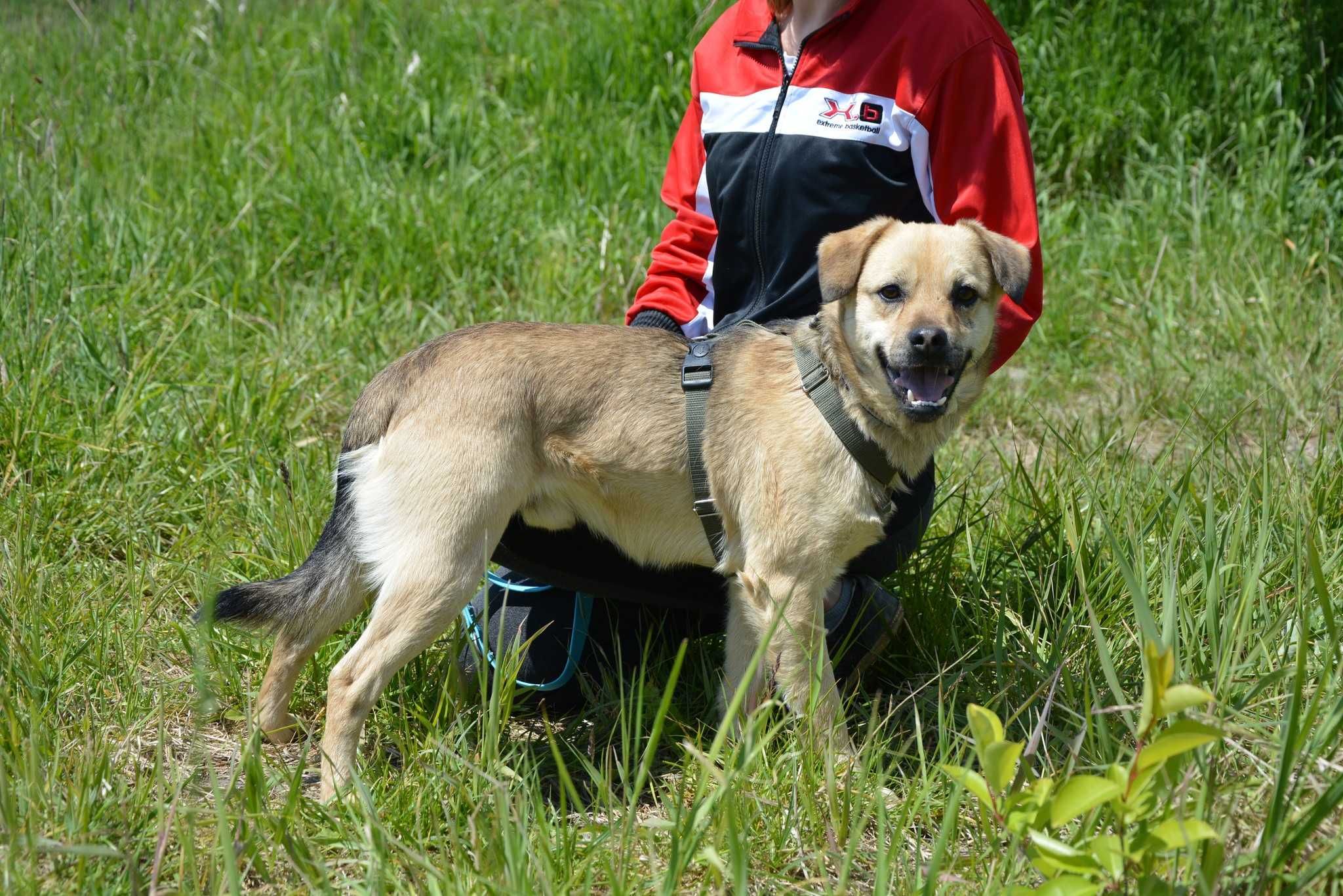 Buck – serce na łapach, które chce być kochane