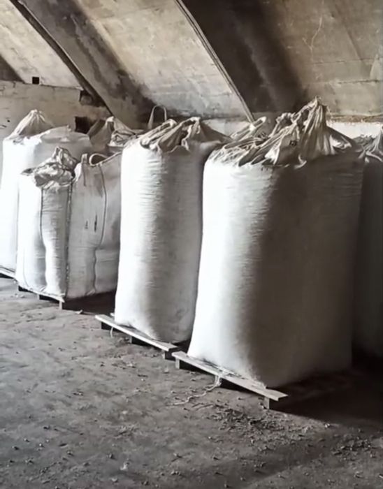 Пелета у біг бег сосна