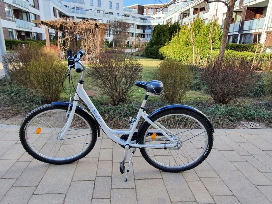 Rower trackingowy Wheeler comfort 627