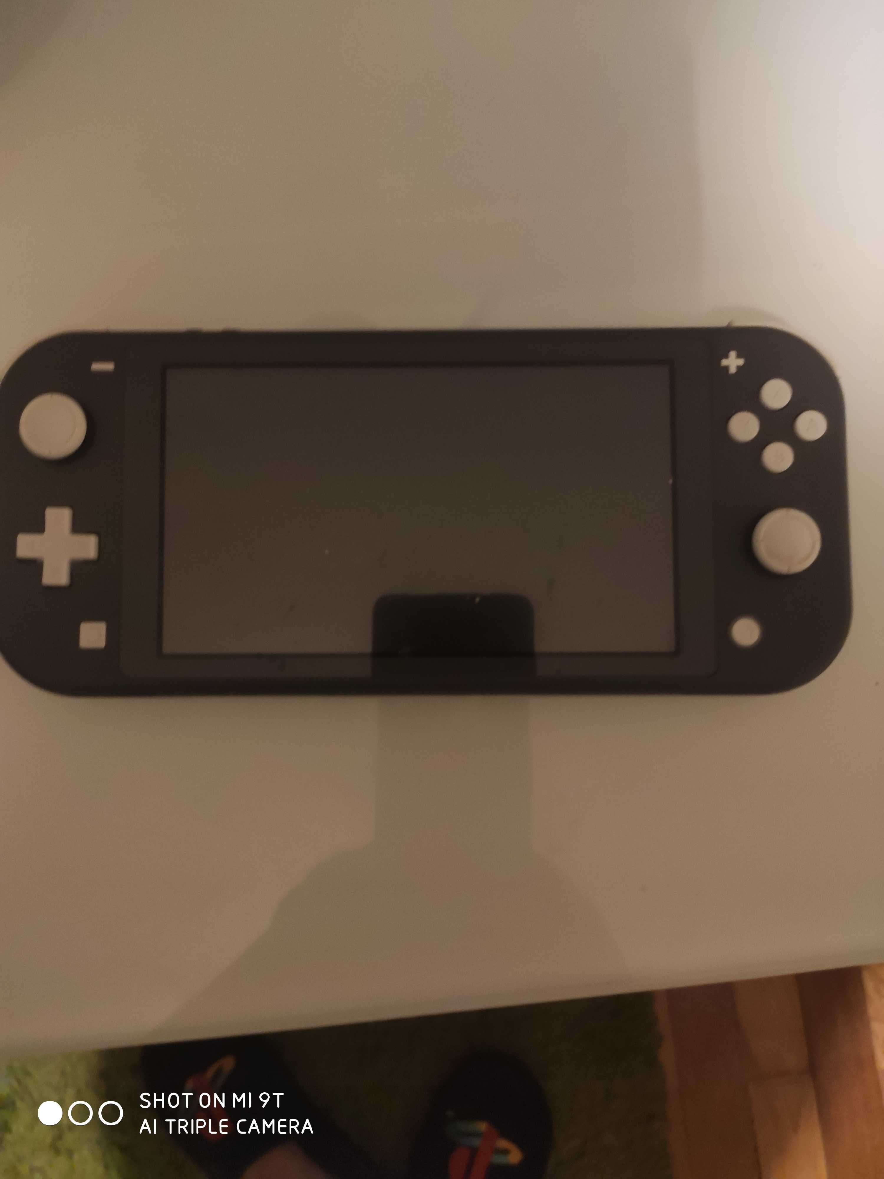 Nintendo switch lite