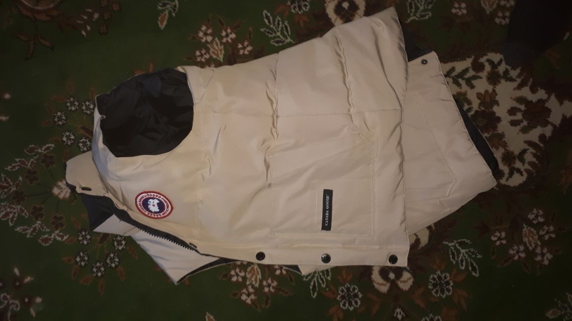 Bezrękawnik canada goose  l