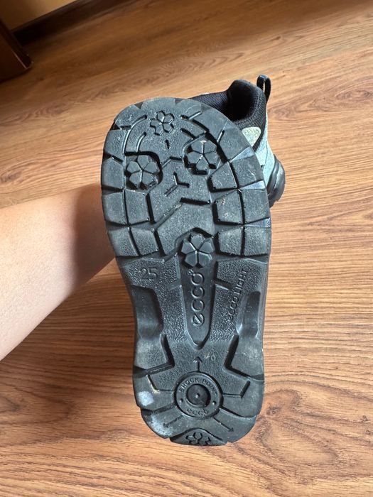 Зимові  чобітки Ecco