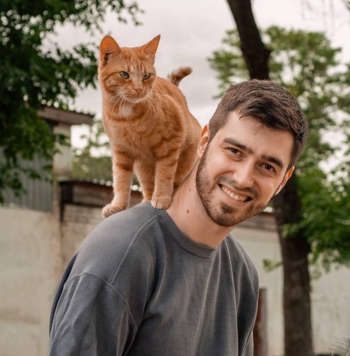 Отдам даром в добрые руки рыжих котиков и кошечек