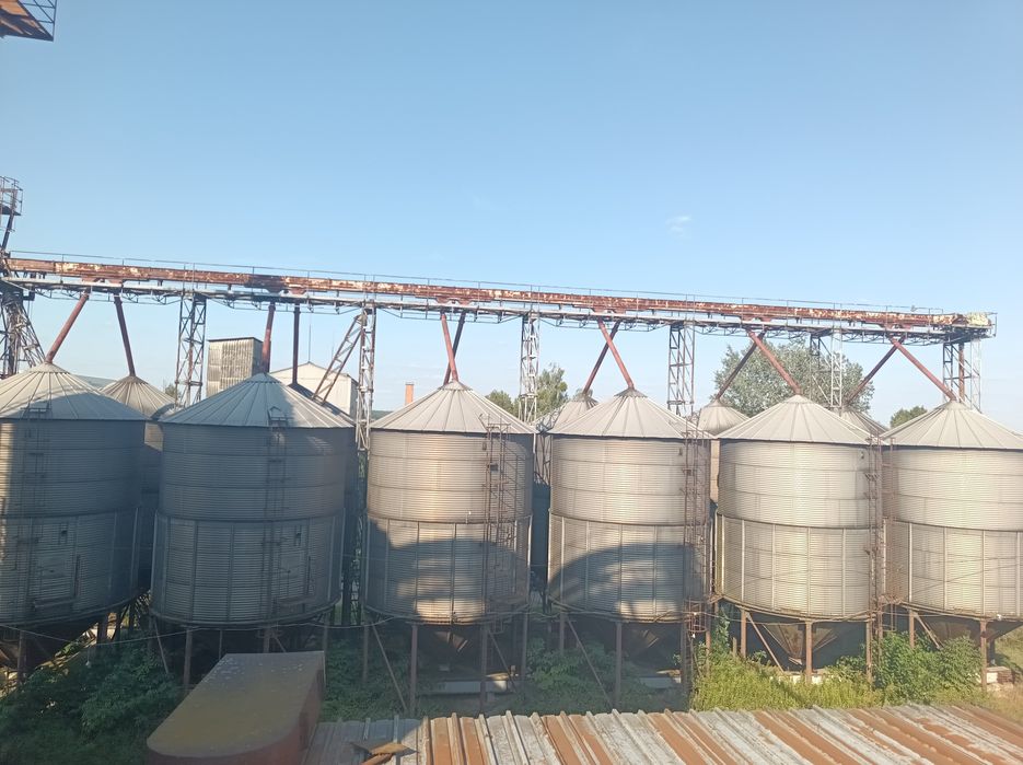 Silos zbożowy Petkus 150t lejowy bin