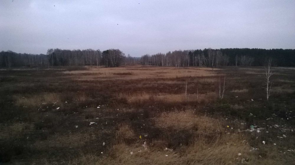 Продам земельну ділянку 1 га за межами села Рожівка, Броварський район