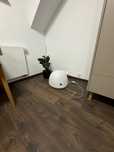 Lampa filibaba duża ryba led