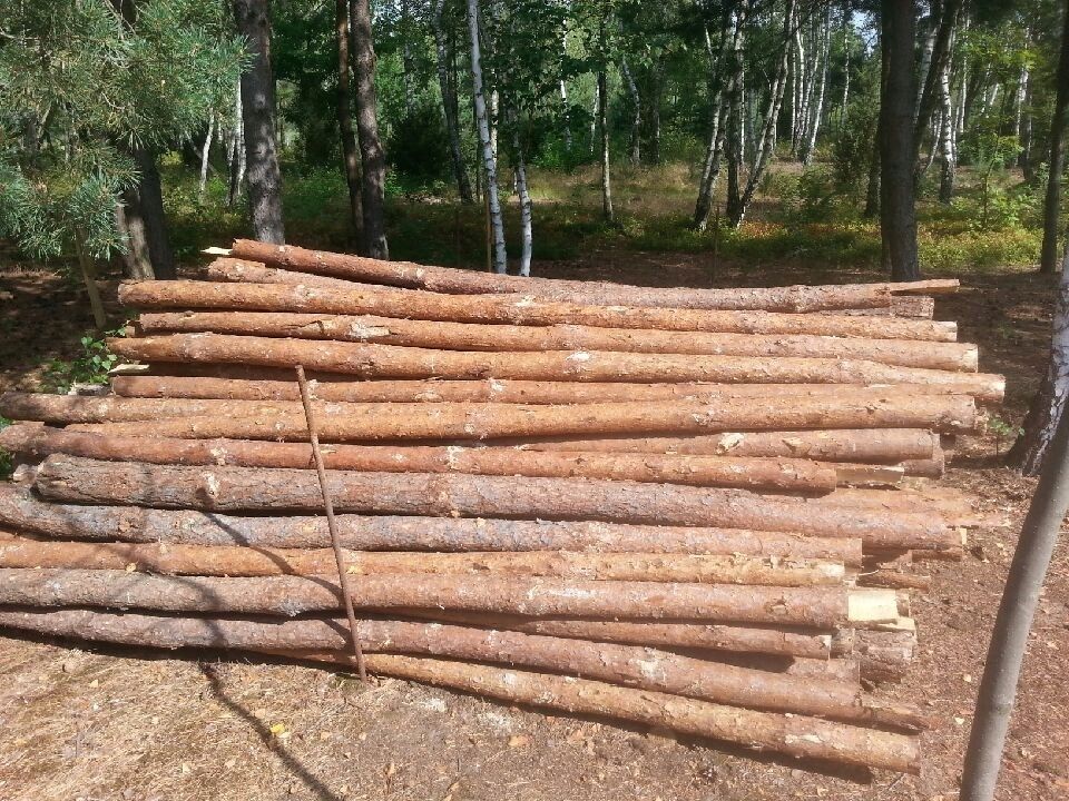 Nowe stemple żerdzie słupki