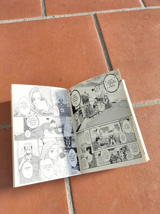 Bandas desenhada em francês