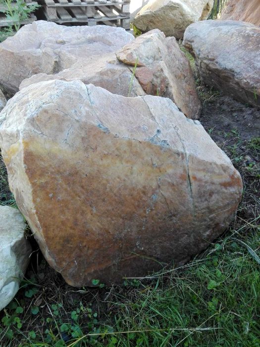 Kamień ogrodowy 300zł za sztukę.