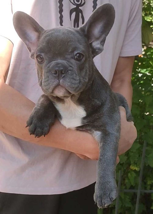 Голубой мальчик 3 месяца