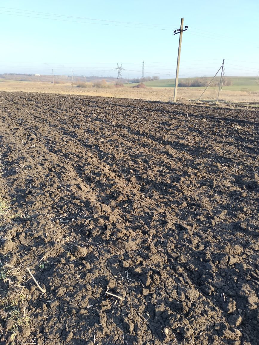 Земельні ділянки поруч з містом.