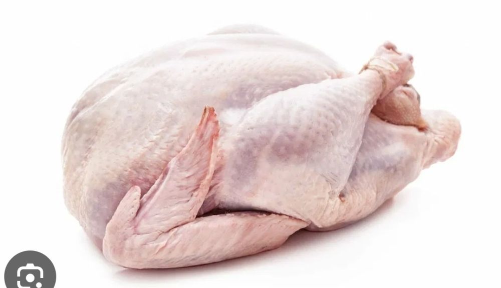 Indyki karmione śrutą zbożową swojskie