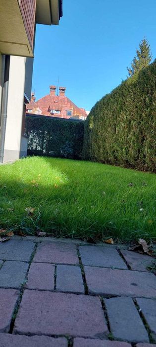 Wycinka drzew, przycinanie tuji i żywopłotów, pielęgnacja.
