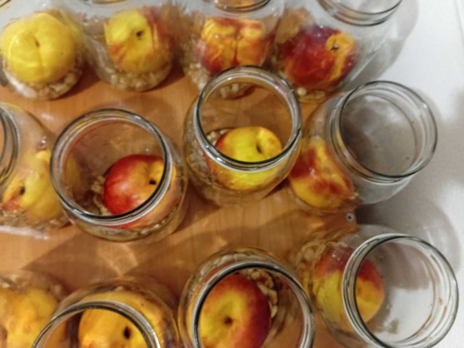 Супер їжа мед горіхи ноктарин полуниця(клубника) фрукти чорнослив 17кг