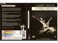Narcissus (Portes Incluídos)