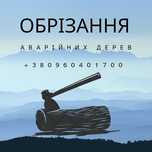 Обрізання зрізання обрізка дерев зріз зрізка спил валка Броди
