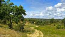 Herdade para Construção 11,6 hectares em São Bartolomeu da Serra, S...
