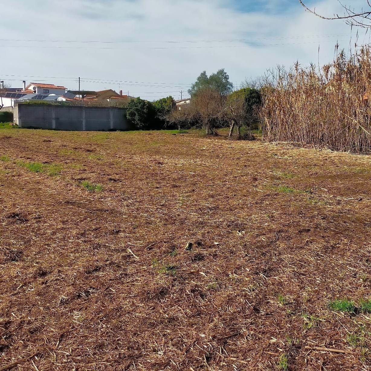 Terreno na Bidoeira de Cima (14min de Leiria) — 1500 m²