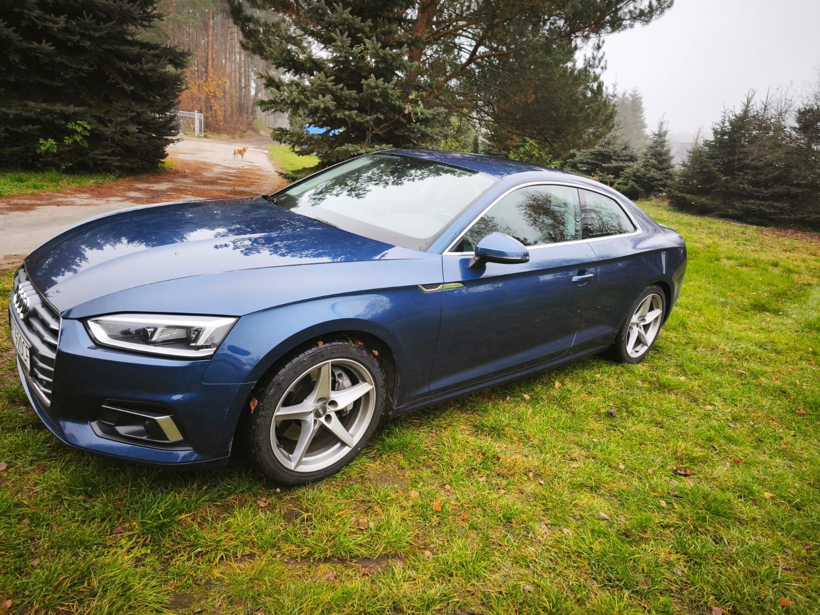 Audi a5 2.0 TFSI 2016 model 2017 coupe quattro 252km