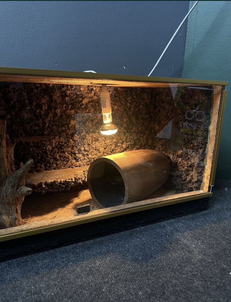 Terarium dla węża/gekona