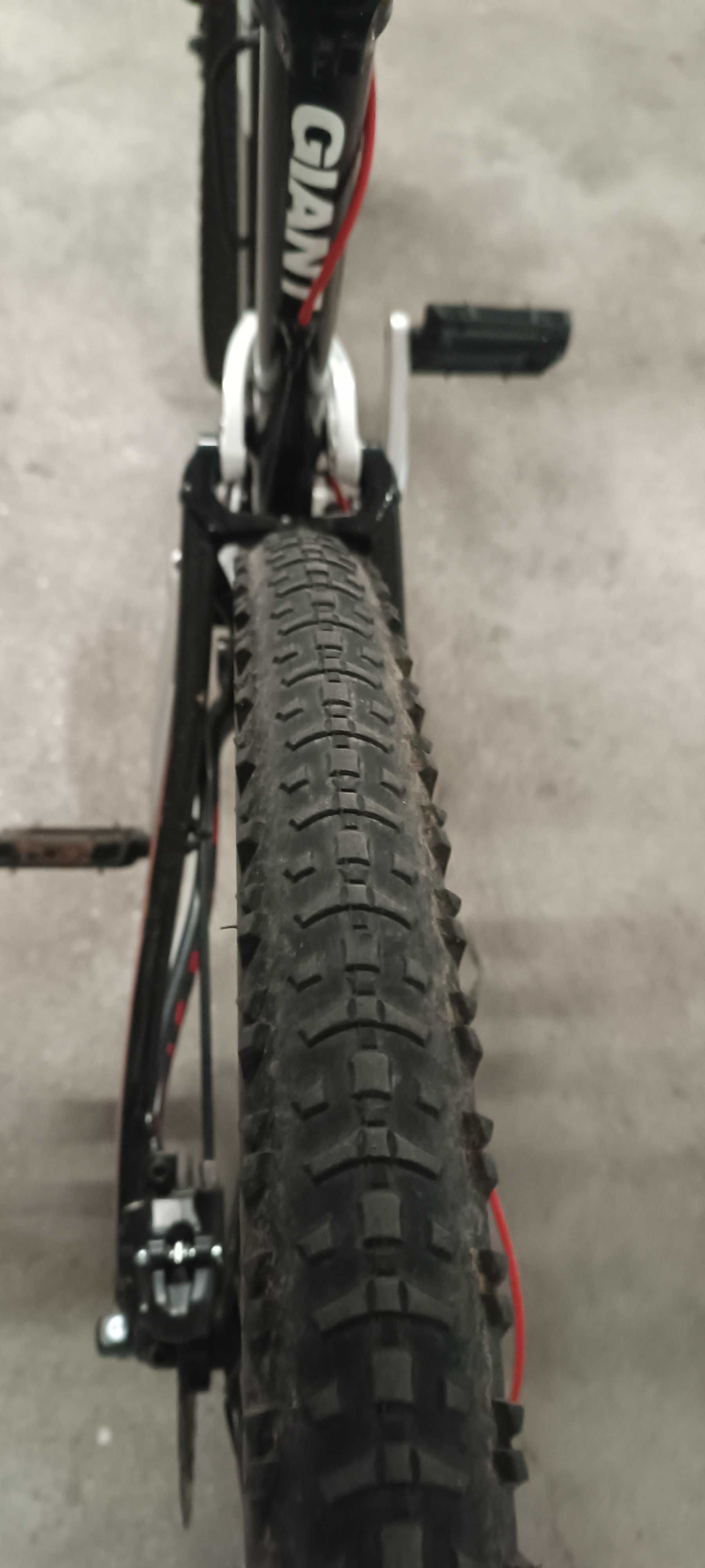 Giant Anthem X29, roda 29