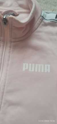 Спортивна кофта, Puma, реглан
