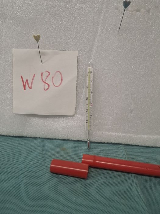 Termometr do ciała vintage