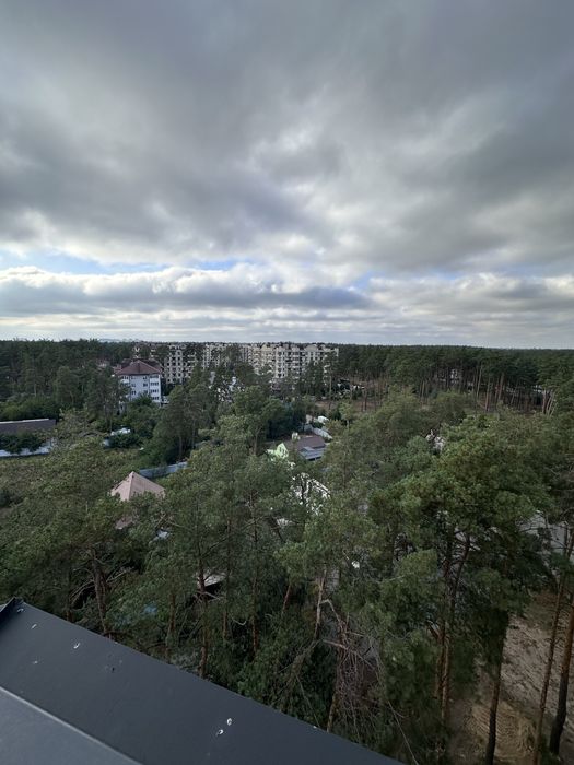Пентхаус з терасою. Максимальне наповнення. З доками