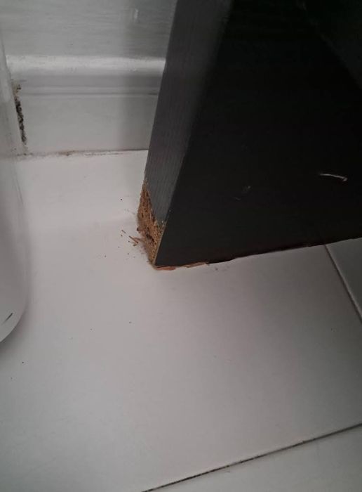 Vendo cama e colchao com marcas de uso