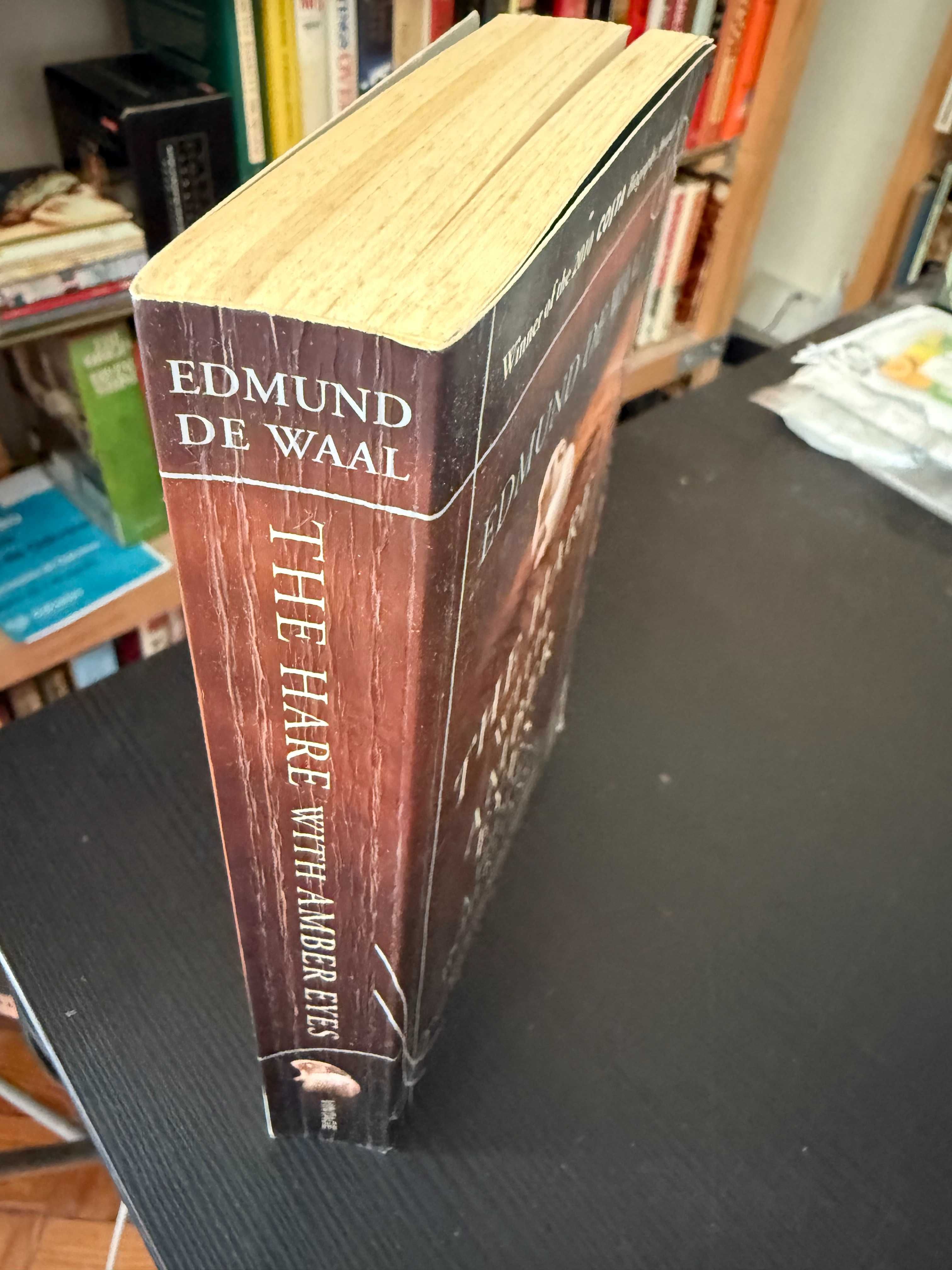 Edmund de Waal – The Hare with Amber Eyes: A Hidden Inheritance