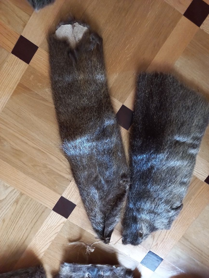 Czapki i kołnierze