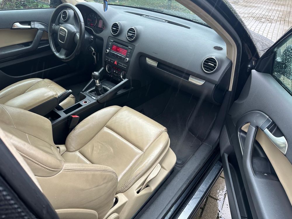 Audi A3 8P 1.9 TDI Polecam