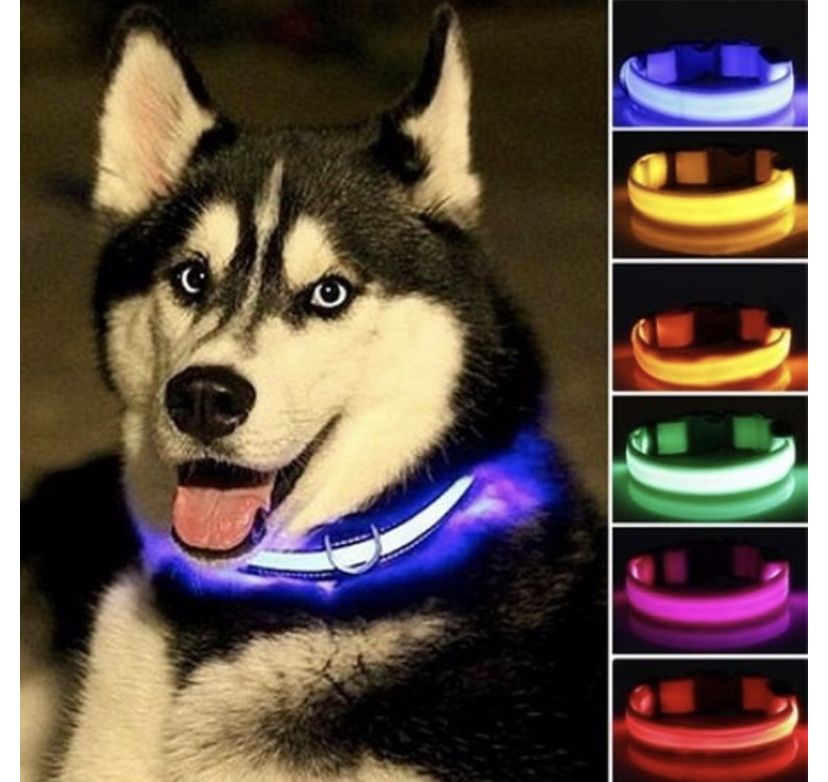 Ошейник с подсветкой для собак с LED лентой USB зарядкой