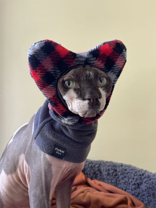 Шапка для сфінкса кота кішки кошеня одежда