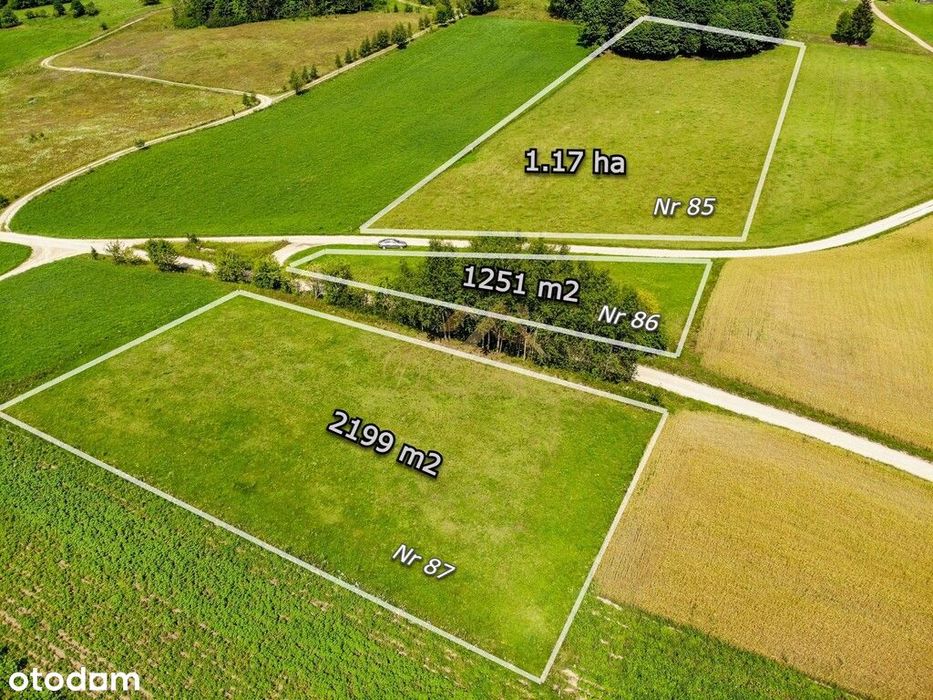2km od jez. Hańcza | 1251m2, 2199m2, 1.17ha