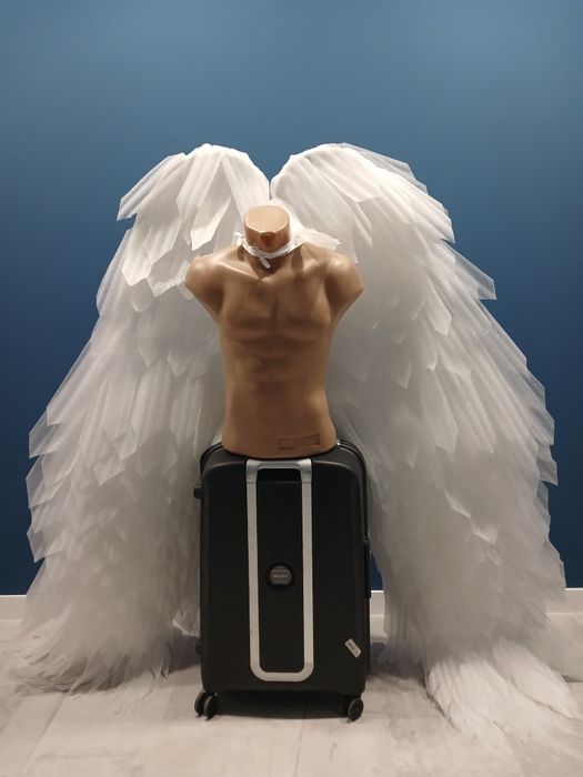 Крила для фотосессії