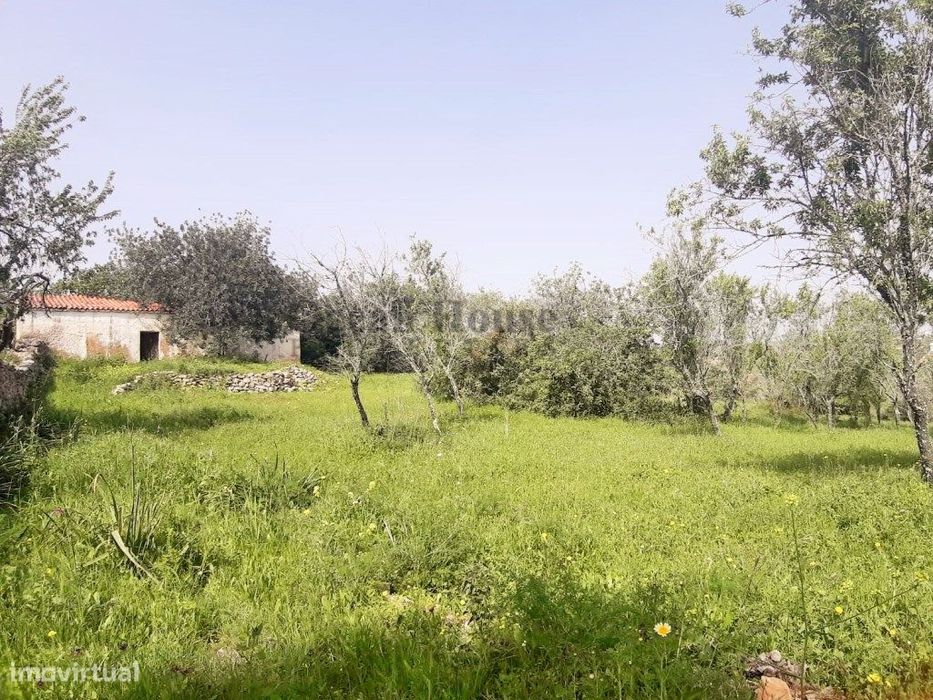 Terreno com ruína para construção de moradia em Paderne - Albufeira