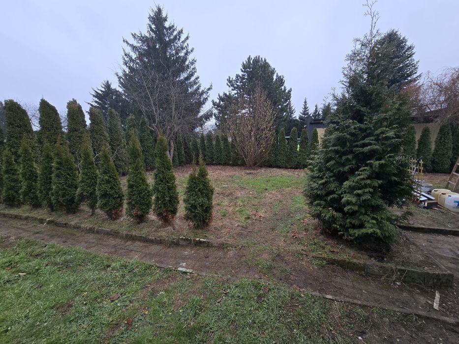 Działka rekreacyjna ROD Poznań Ławica 327 m2